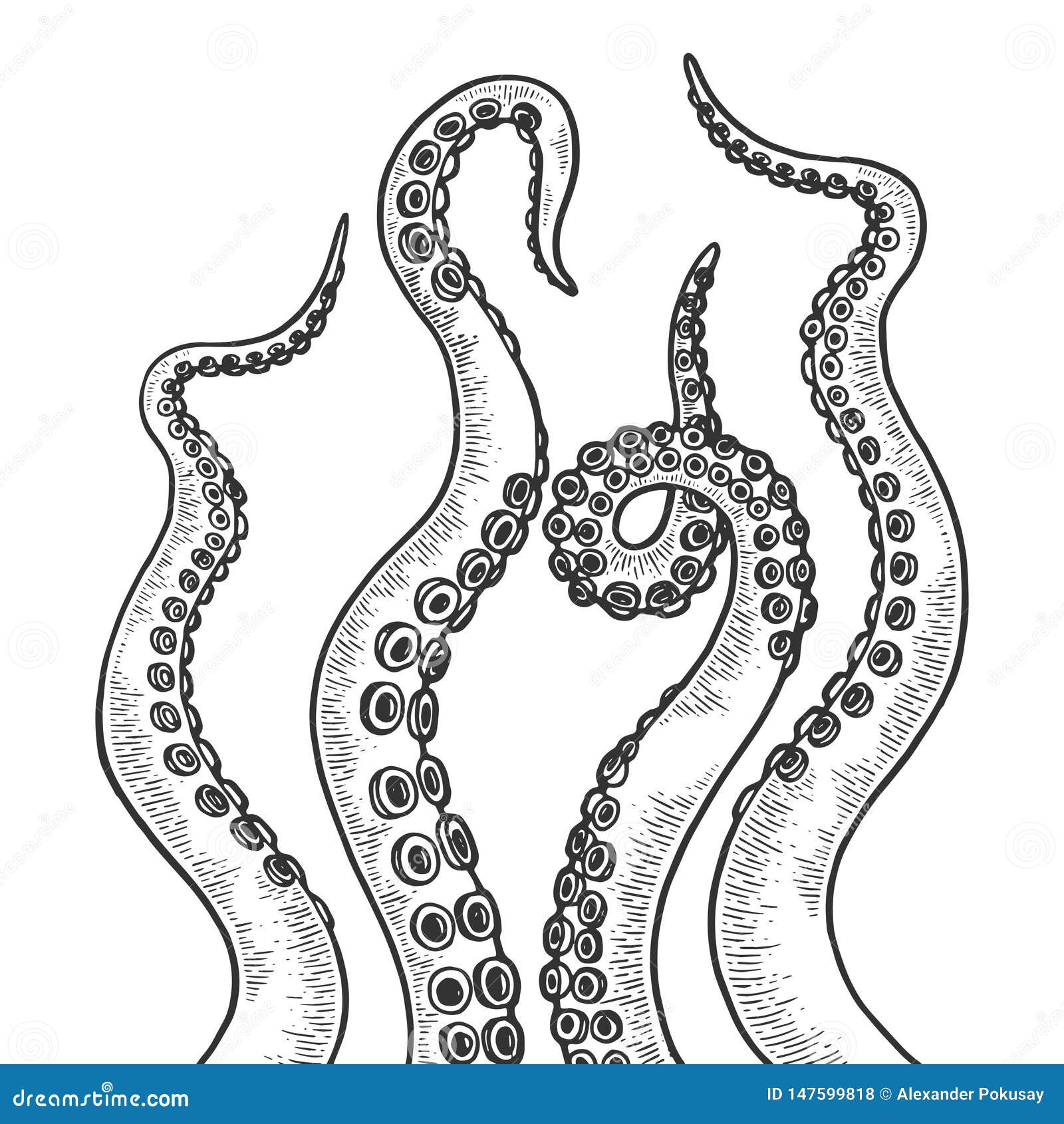 Featured image of post Simple Octopus Tentacle Drawing Clipart octopus octopus tentacle clipart octopus octopus
