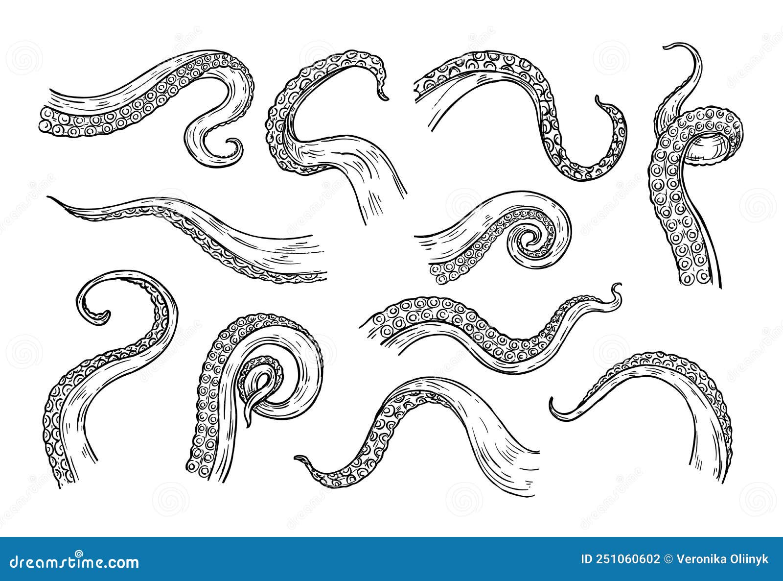 octopus tentacles engraving. hand drawn tentacle of underwater squid animal, sketch kraken or cthulhu arms with sucker