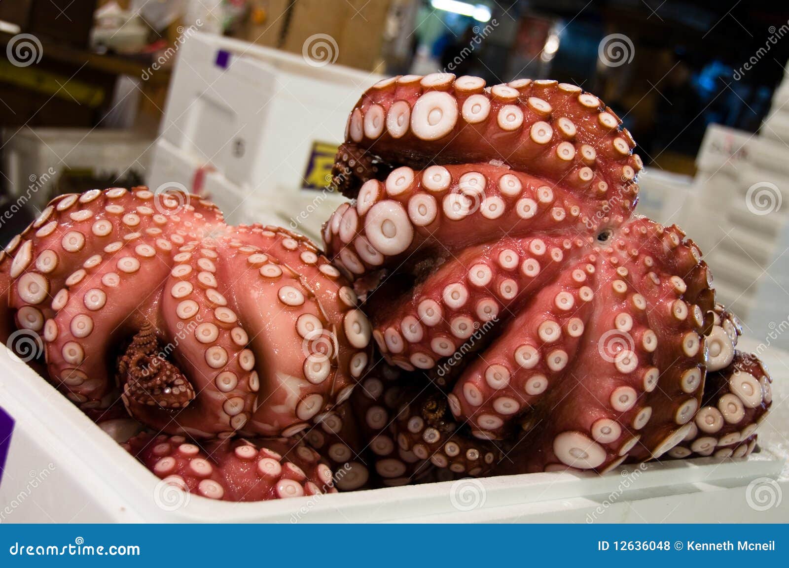 Octopus at Tsukiji Fish Market. Box full of octopi at the Tsukiji Fish Market in Tokyo, Japan.