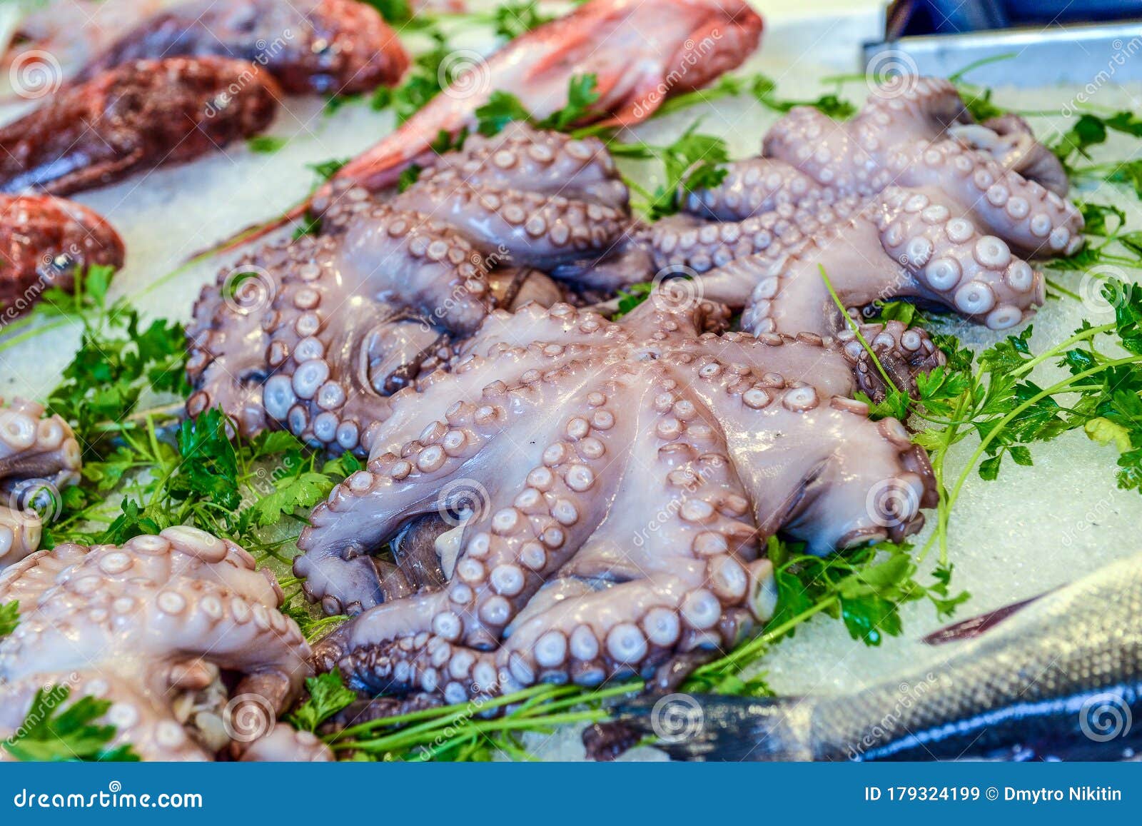Octopuses on the counter stock image. Image of selling 179324199