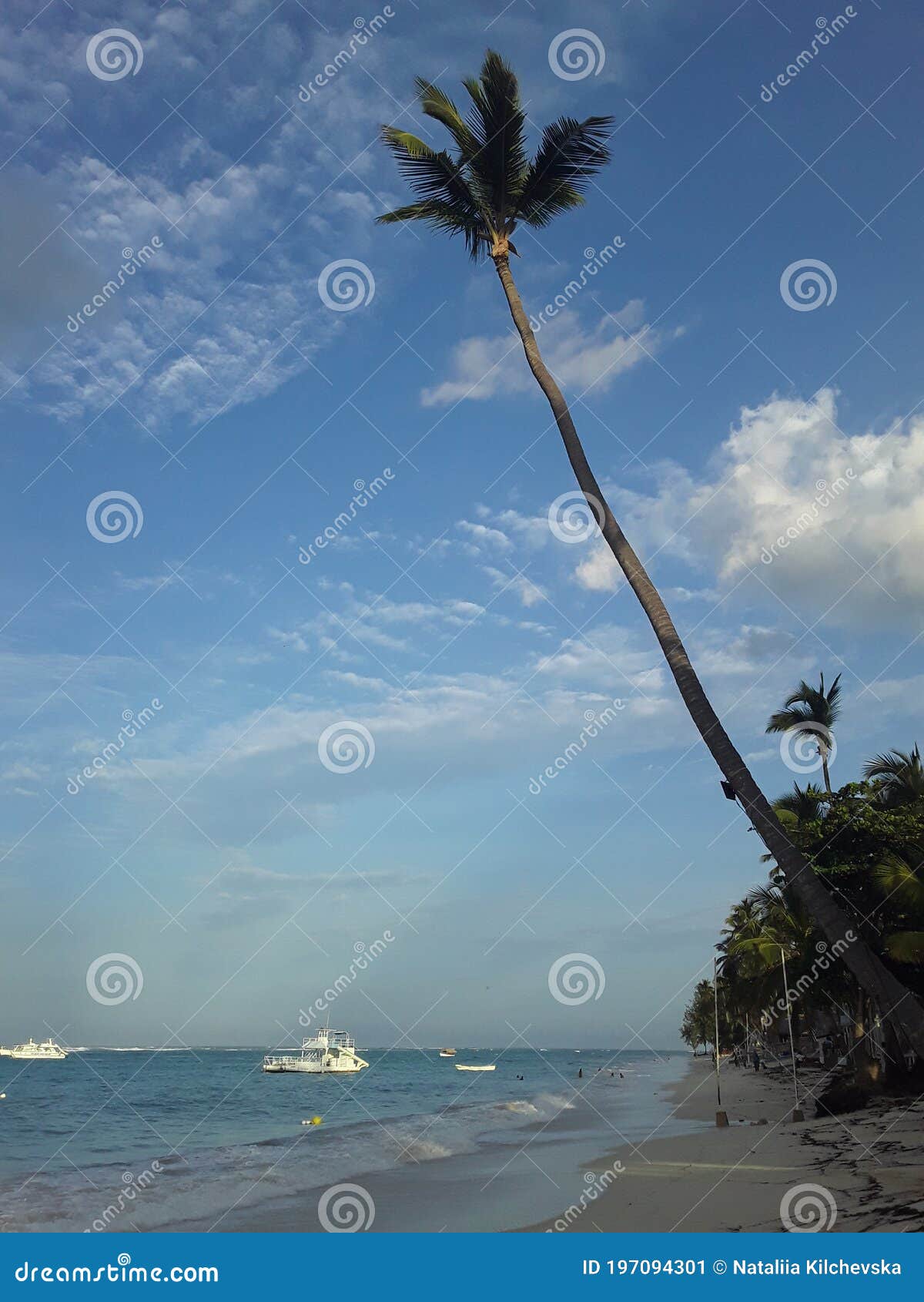 ocÃÂ©ano atlÃÂ¡ntico   beach   palm trees   clouds   ocean and boats   evening on the ocean  