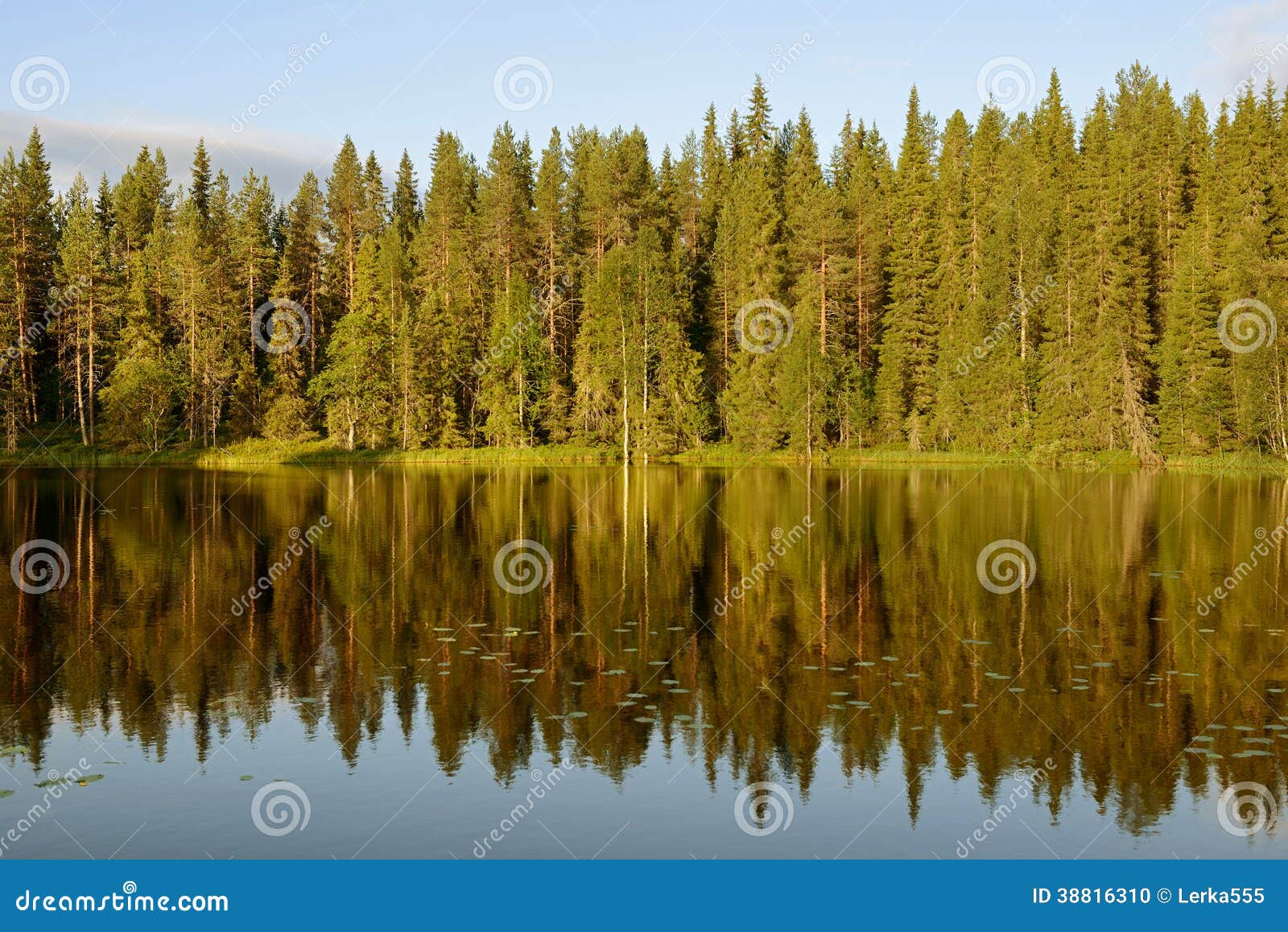 Odbicie las w jeziorze przed zmierzchem. Finlandia, Lapland