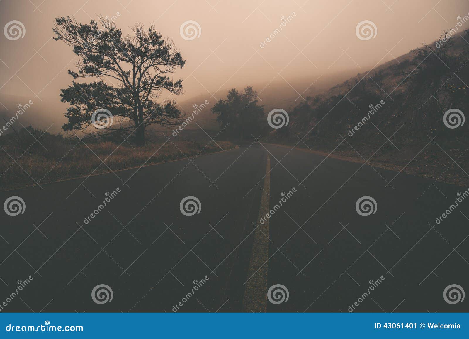 odd foggy road