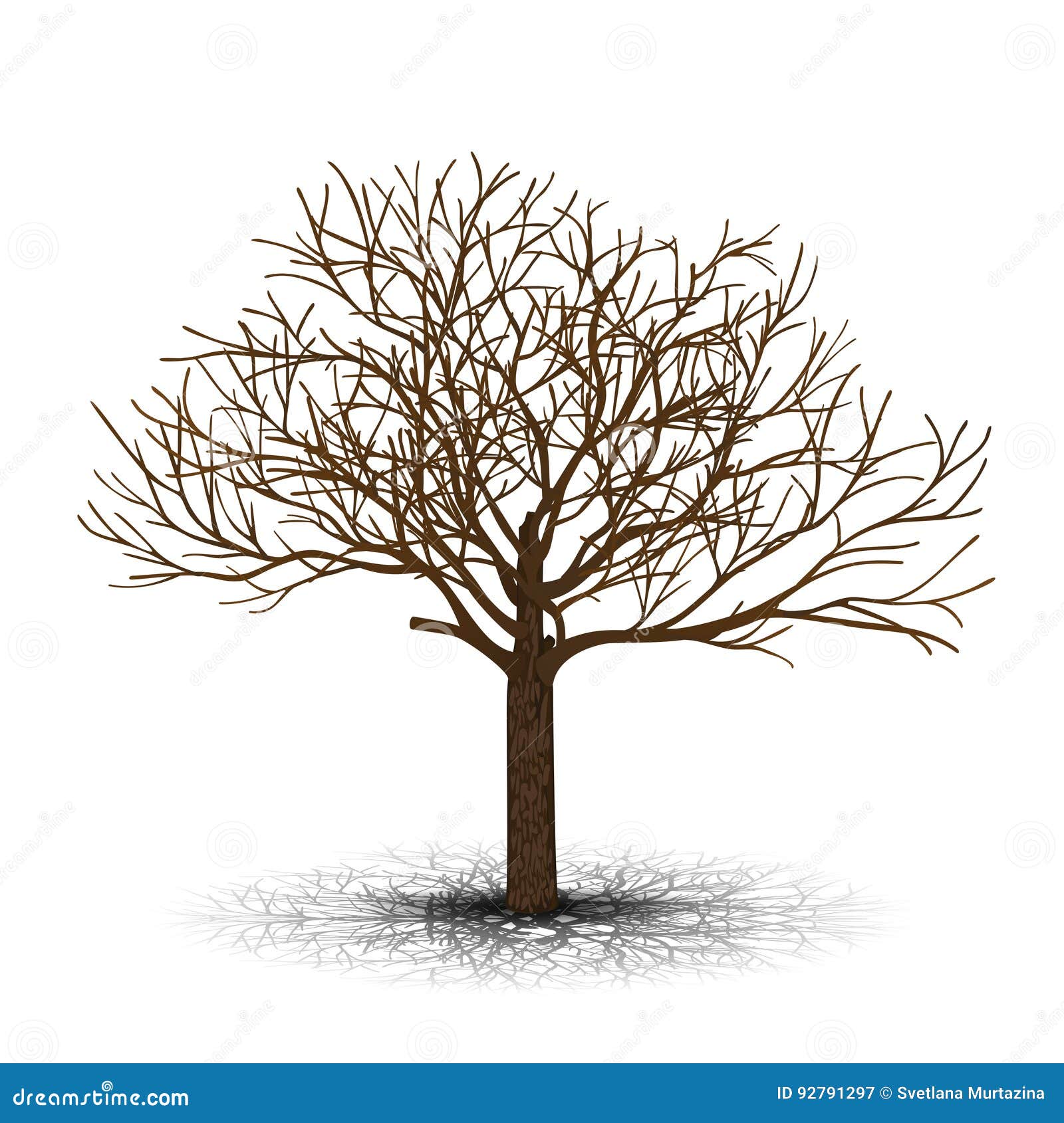 Oddzielny Drzewo Bez Liści Z Cieniem Ilustracja Wektor