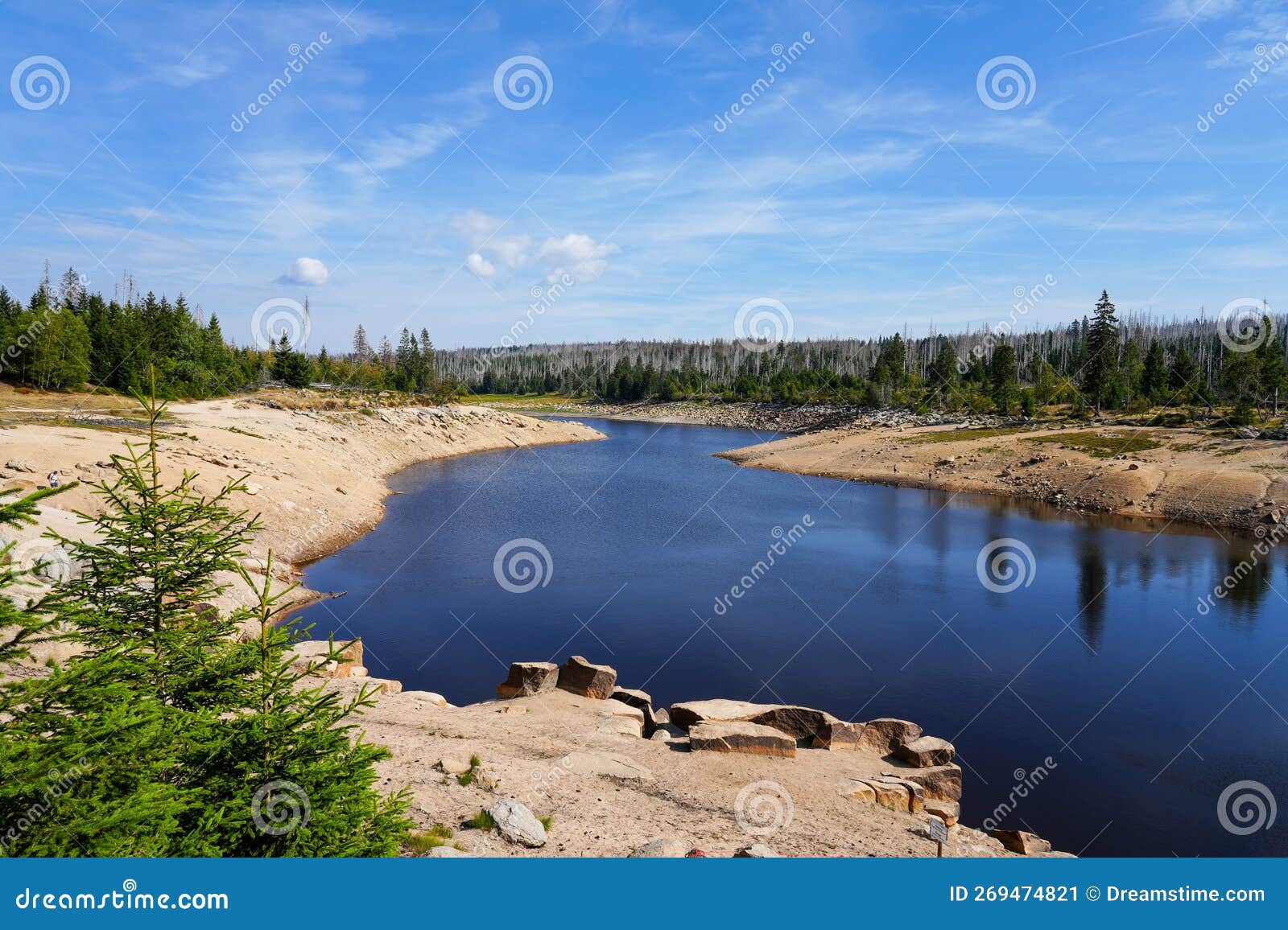 oderteich dam in the harz mountains, near braunlage. landscape at the lake