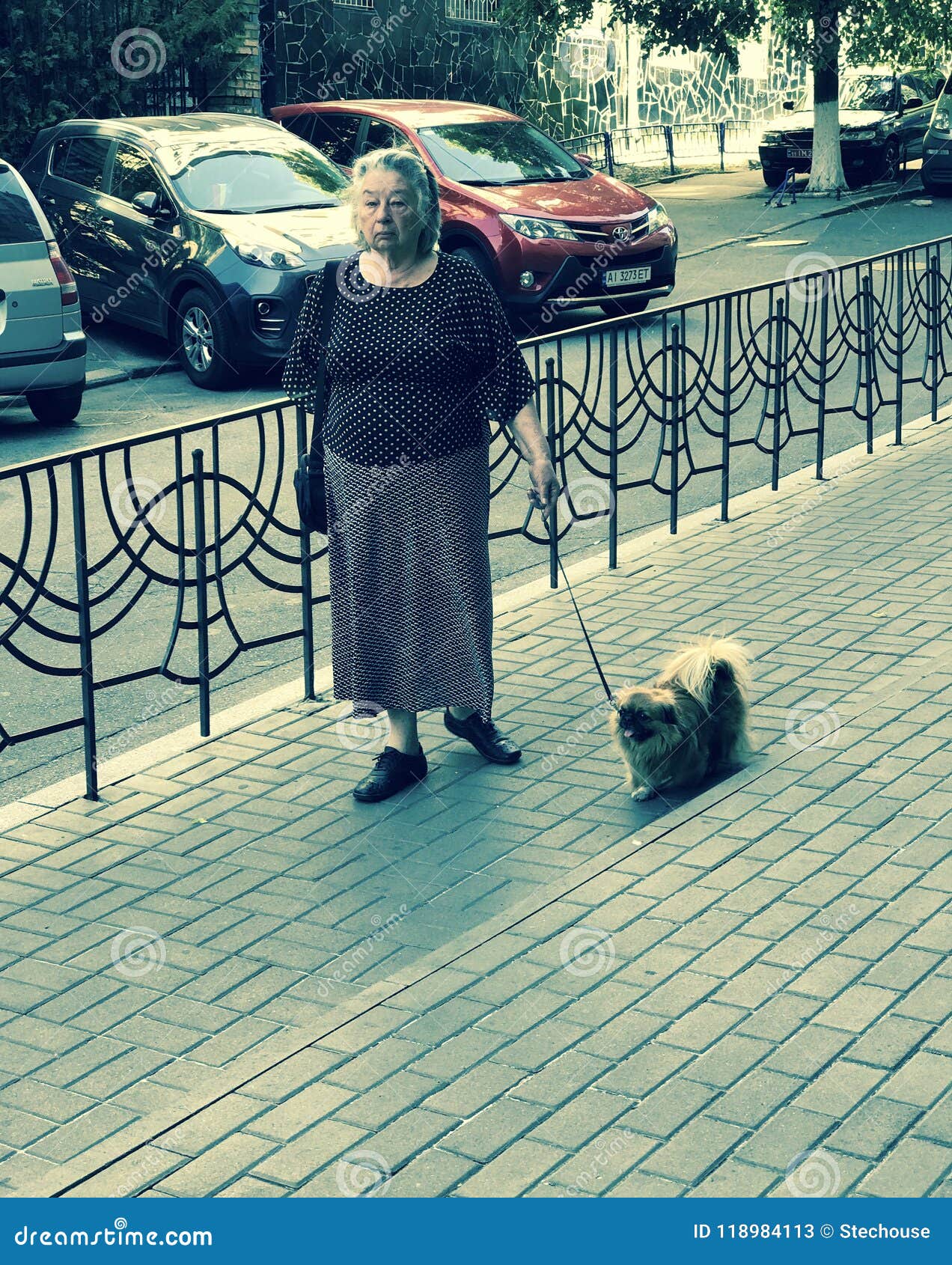 A Woman Walks A Dog In Odessa Ukraine Europe Dogs Editorial