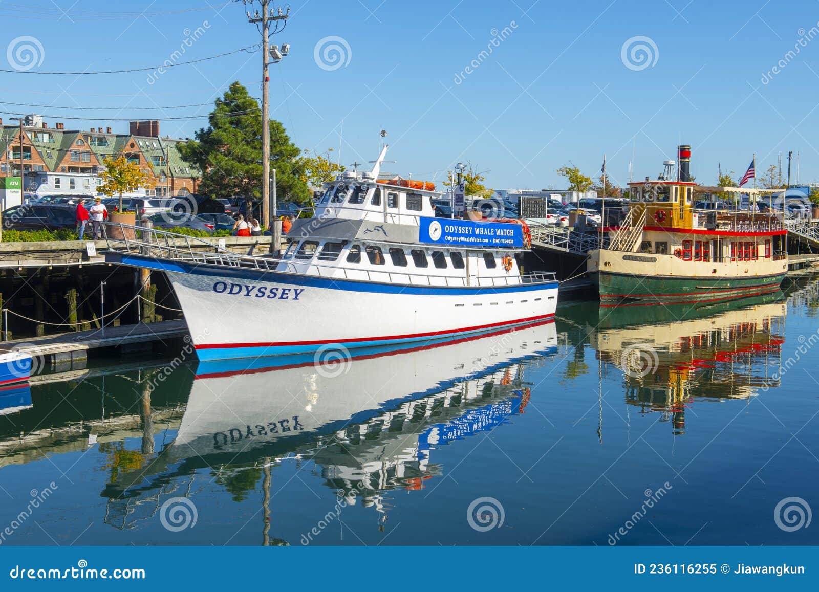 whale watching cruise portland maine