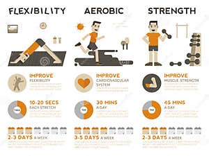 Oefening Infographic Vector Illustratie Illustration Of Yoga 57425921