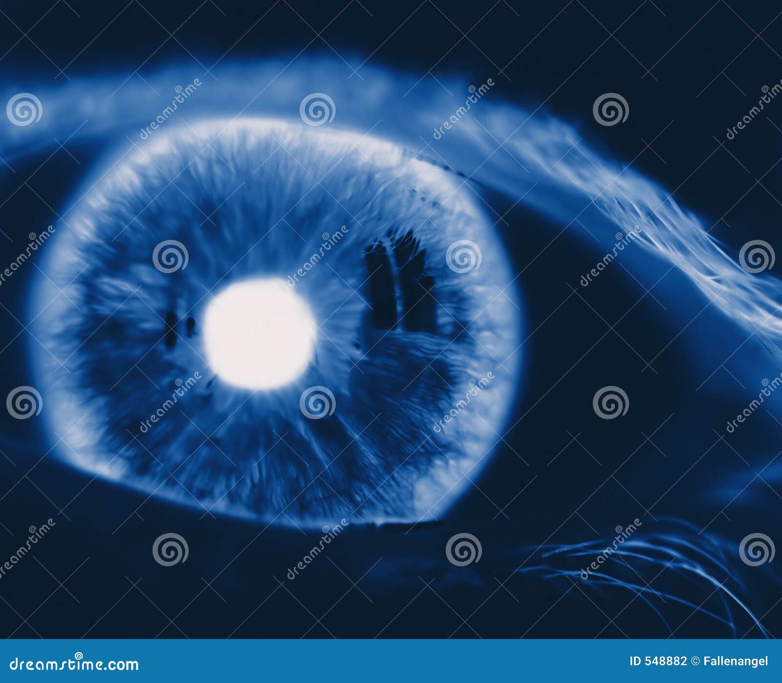 Oeil Inverse Photo Stock Image Du People Bille Peau 54 Oeil Inverse Photo Stock Image Du People Bille Peau 54