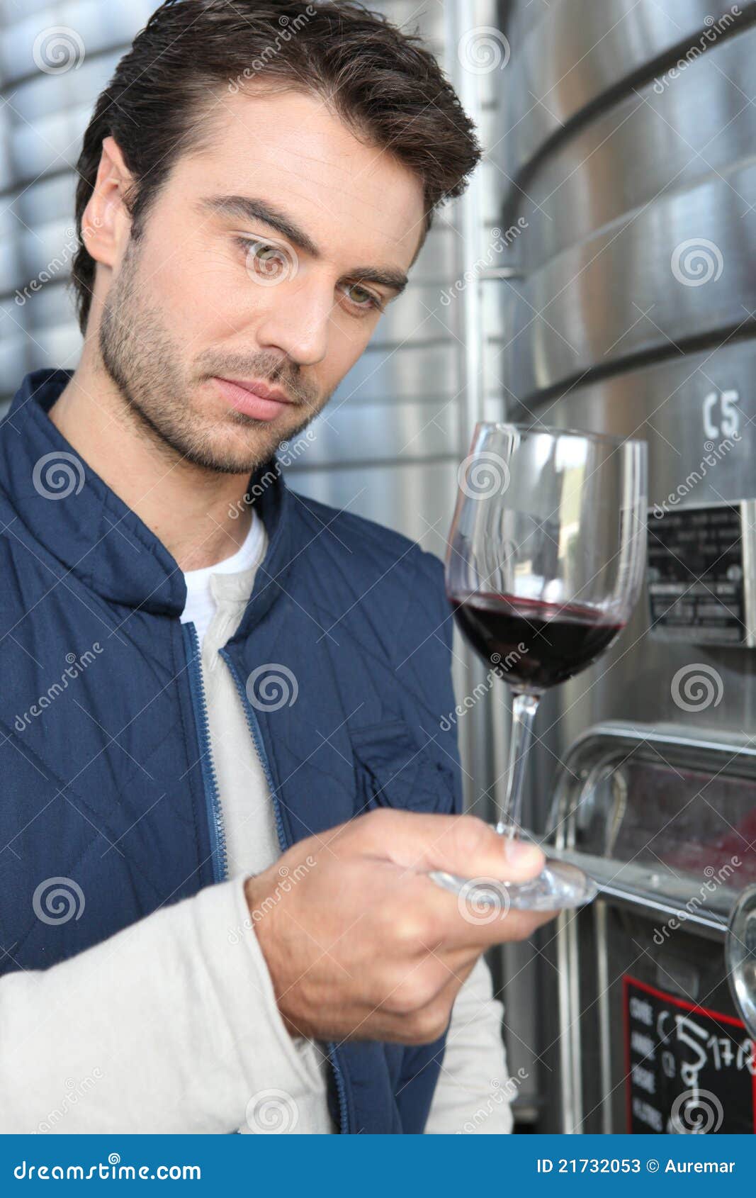 Oenologist Analysing a Wine Stock Image Image of analyze, inox 21732053