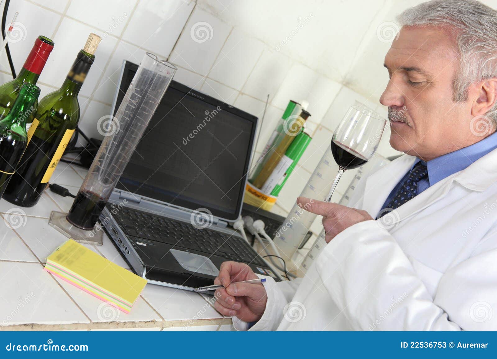 Oenologist Analysing a Wine Stock Image Image of bottles, professional 22536753