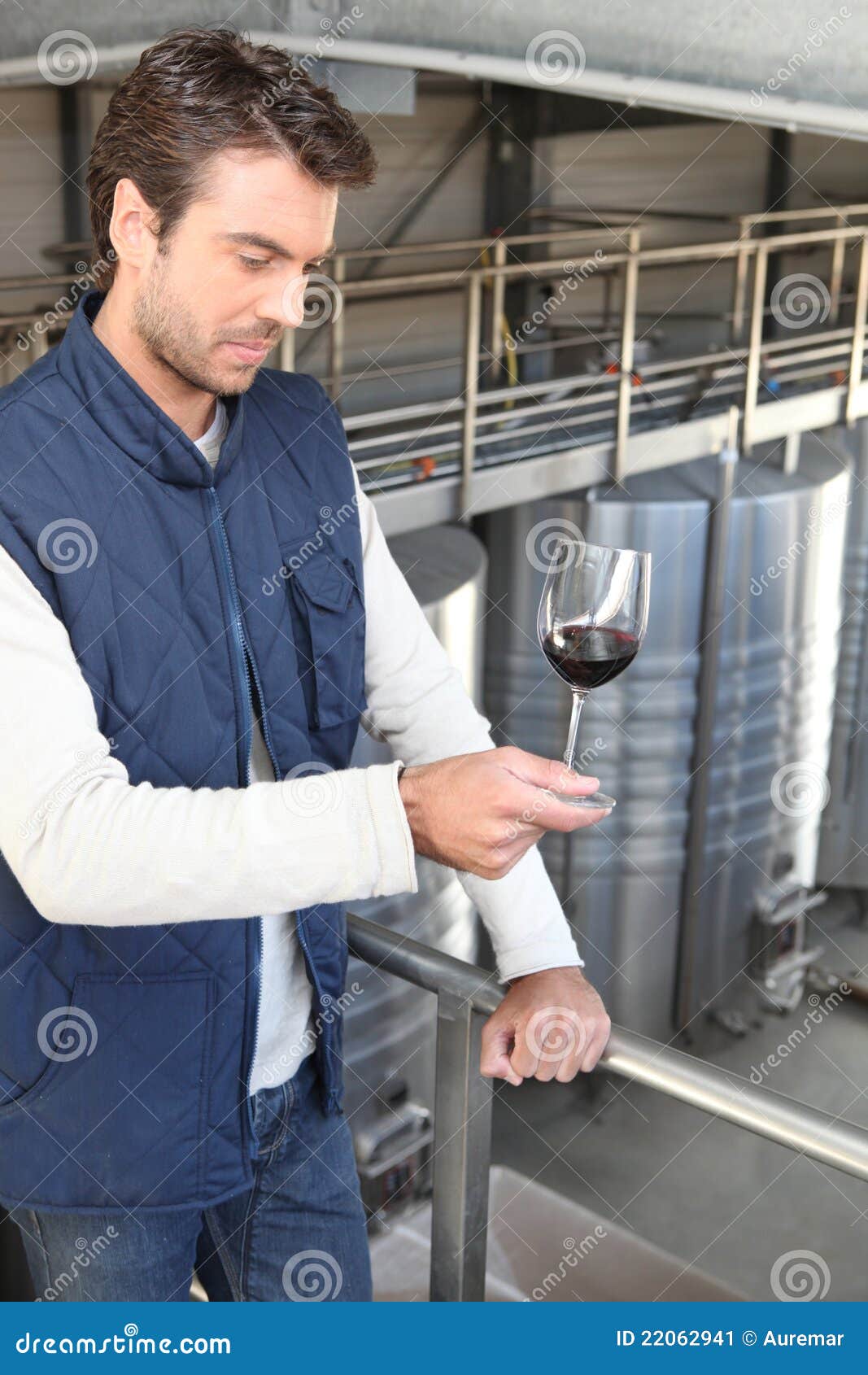 Oenologist with a Glasswine Stock Image Image of steel, culture 22062941