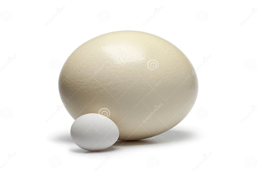 Oeuf D