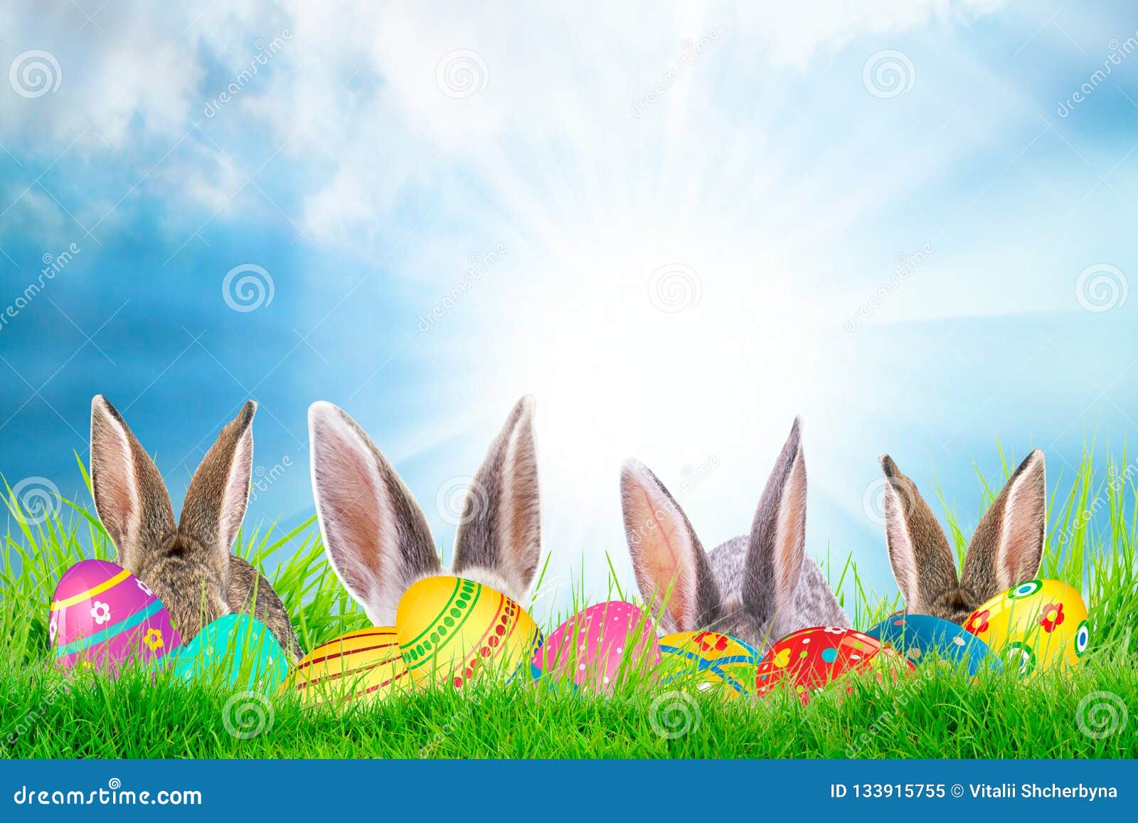 Pâques lapin - décoré des œufs et mignonne lapin dans ensoleillé