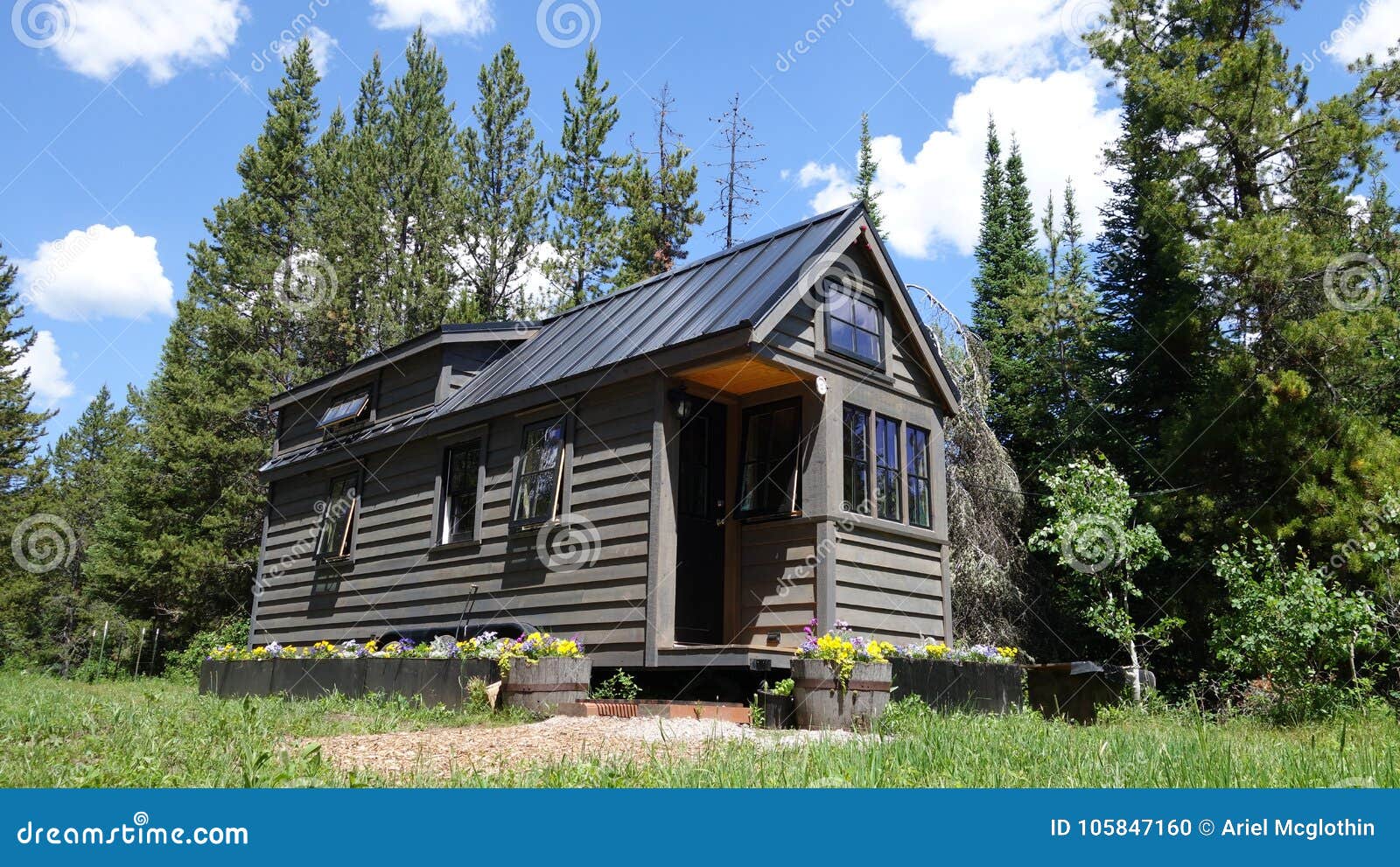 off grid tiny house in the mountains