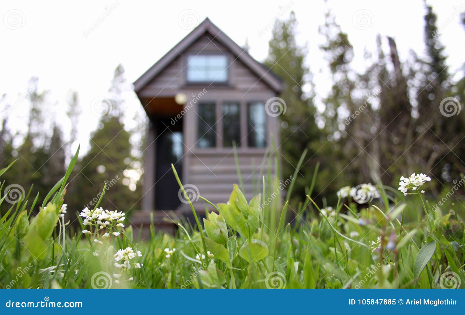 off grid tiny house in the mountains