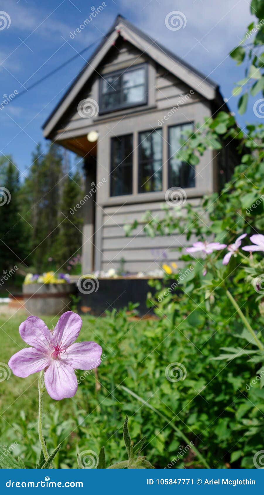 off grid tiny house in the mountains