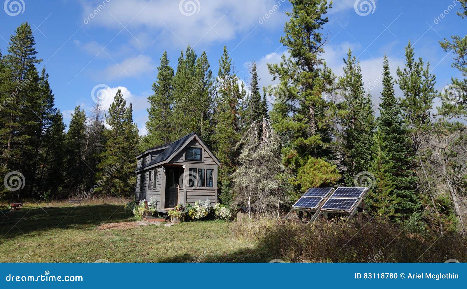 off grid tiny house