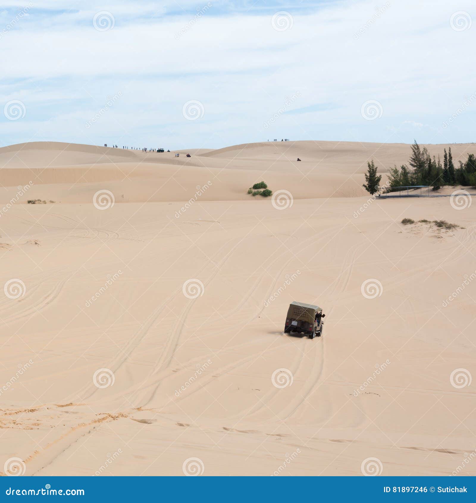 My Image 18