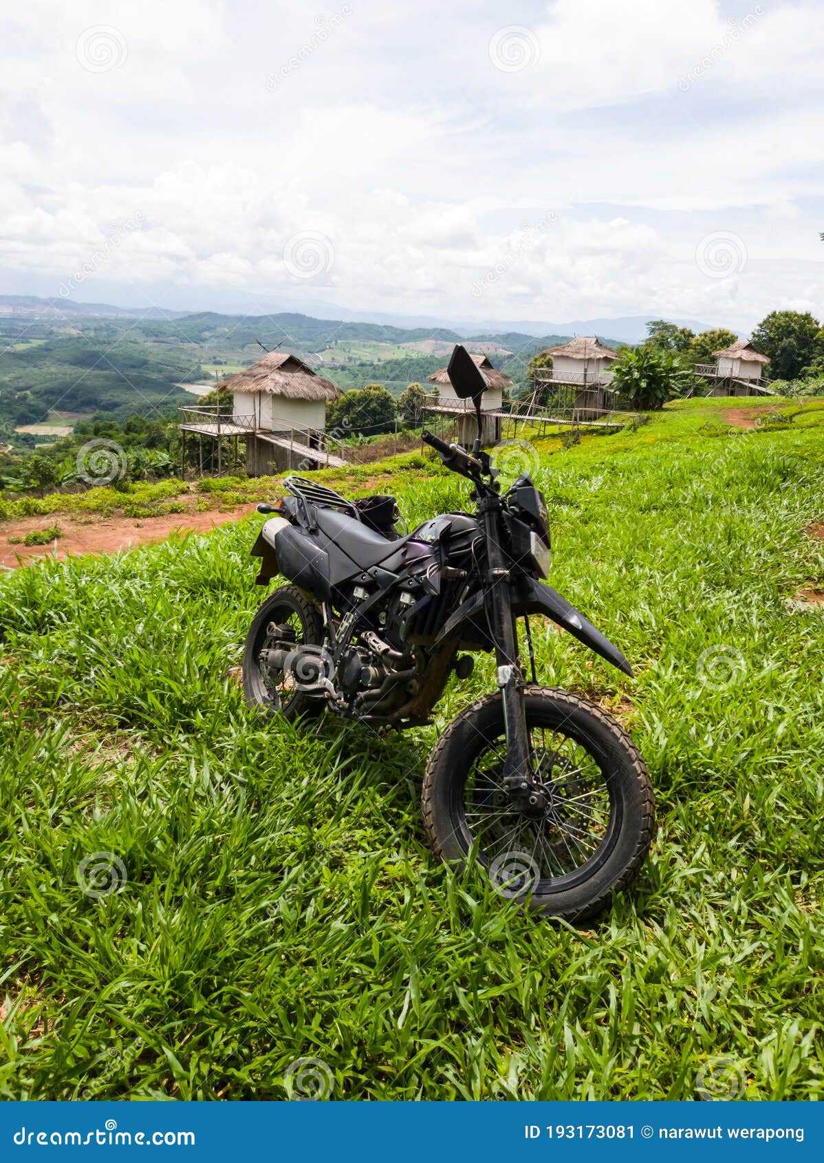 Offroad mountain bikes stock image. Image of tree, offroad 193173081