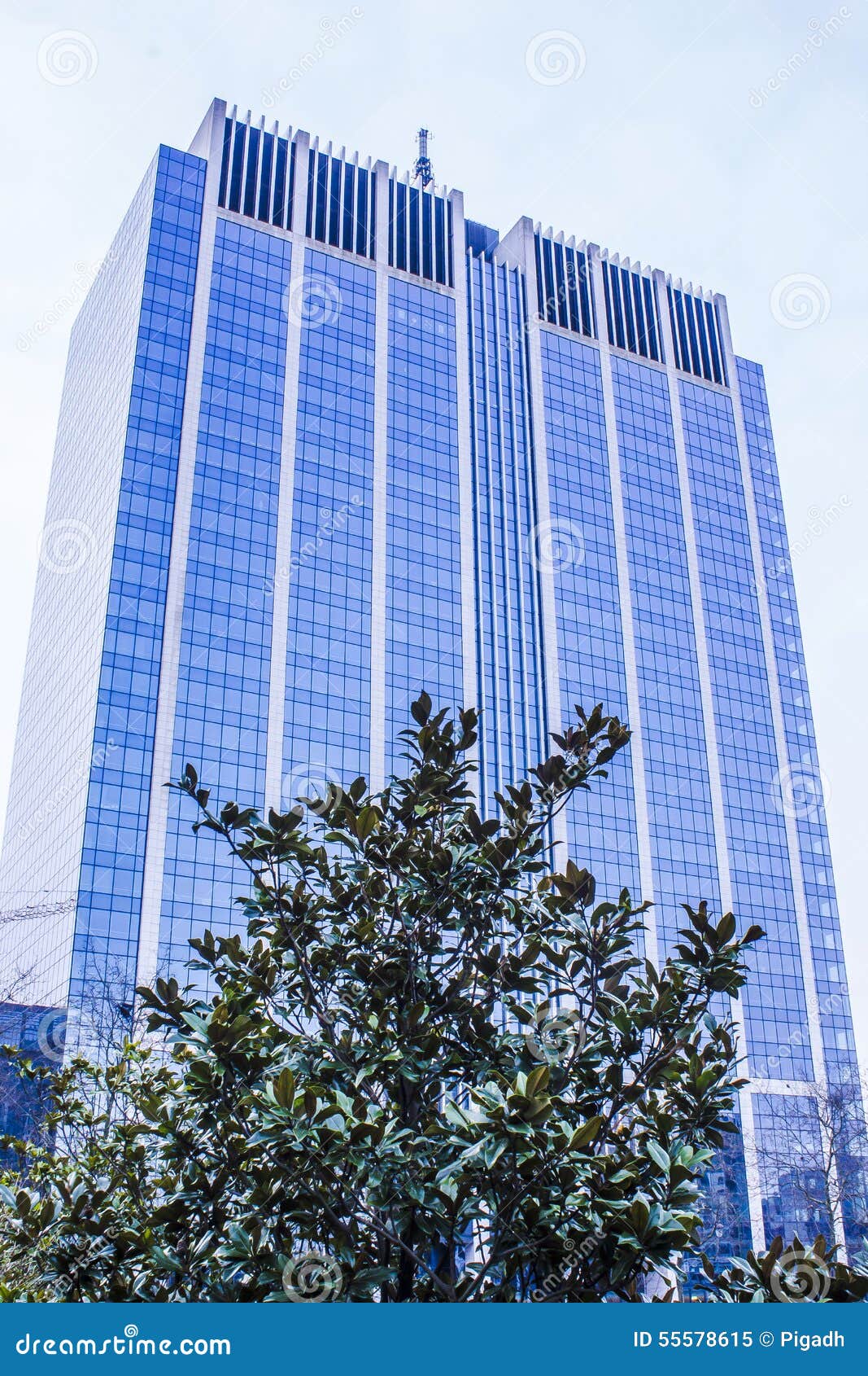 Office blue building stock image. Image of winter, garden - 55578615
