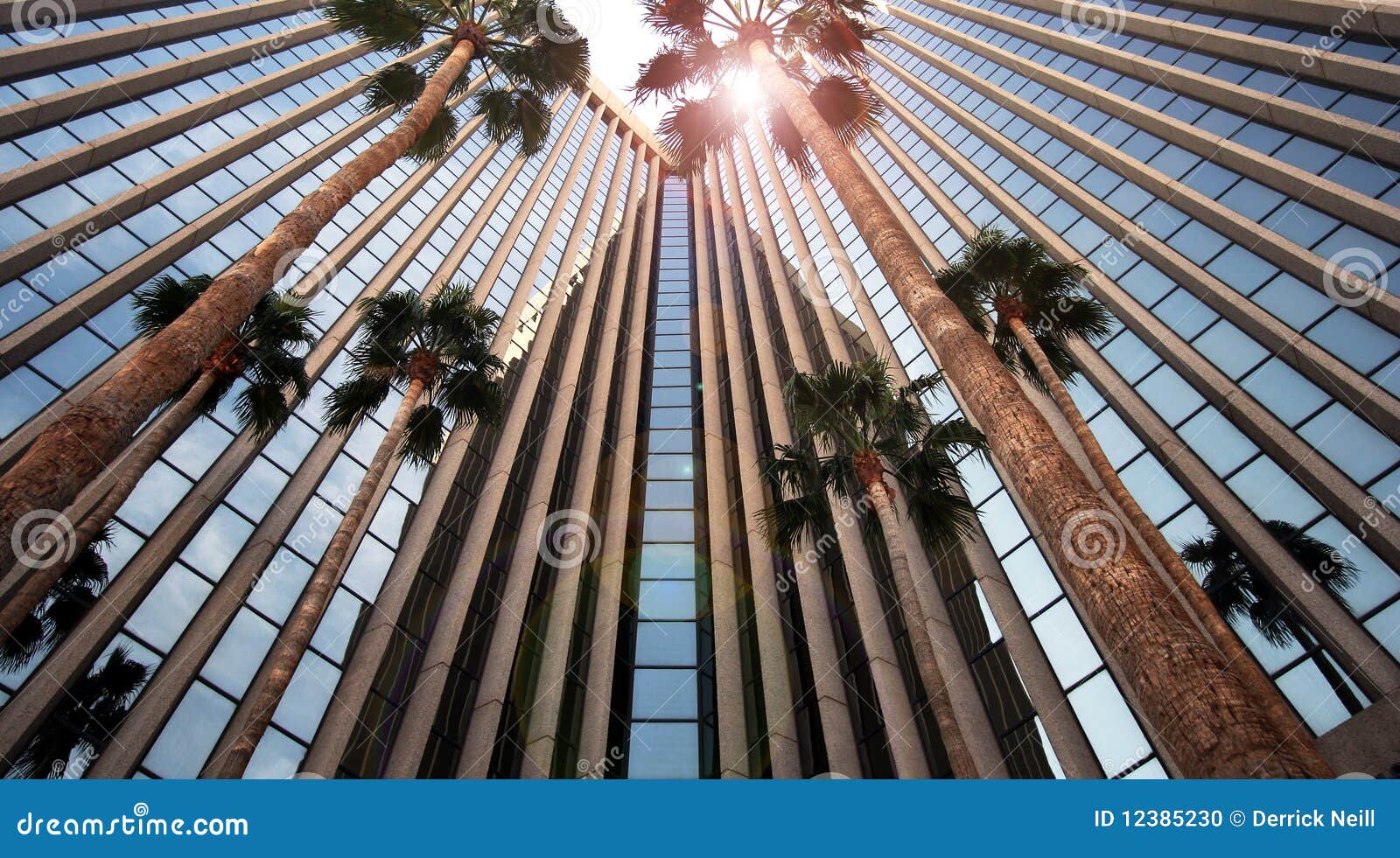 an office building reflects itself and palms