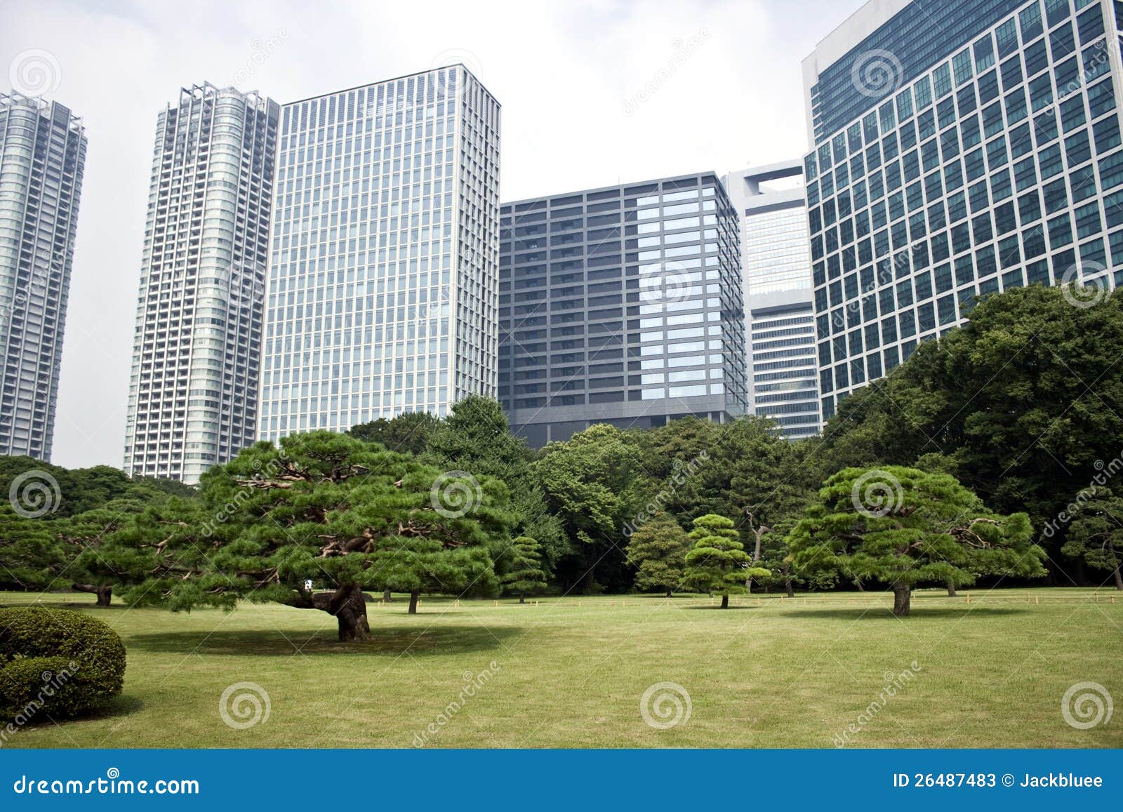 office buildings surrounding japanese garden