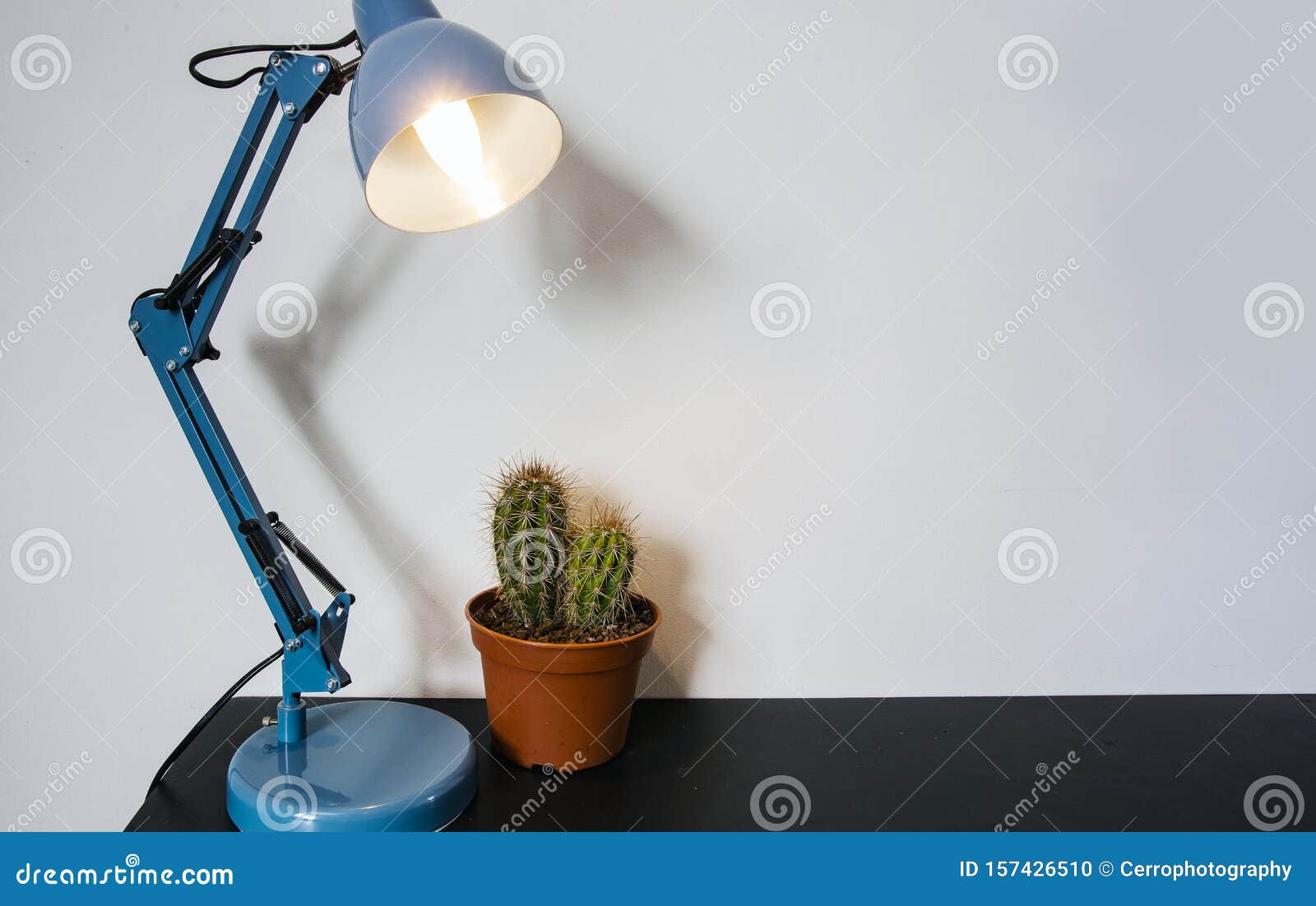 cactus desk lamp