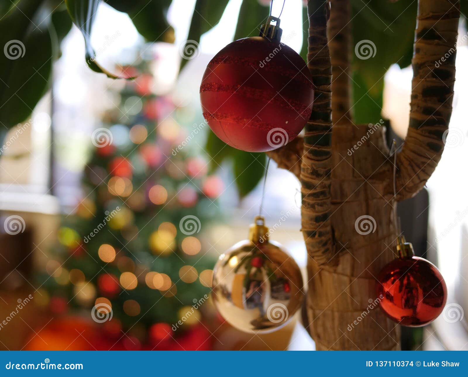 Office Holidays Stock Photo Image Of Bright Blur Decorative