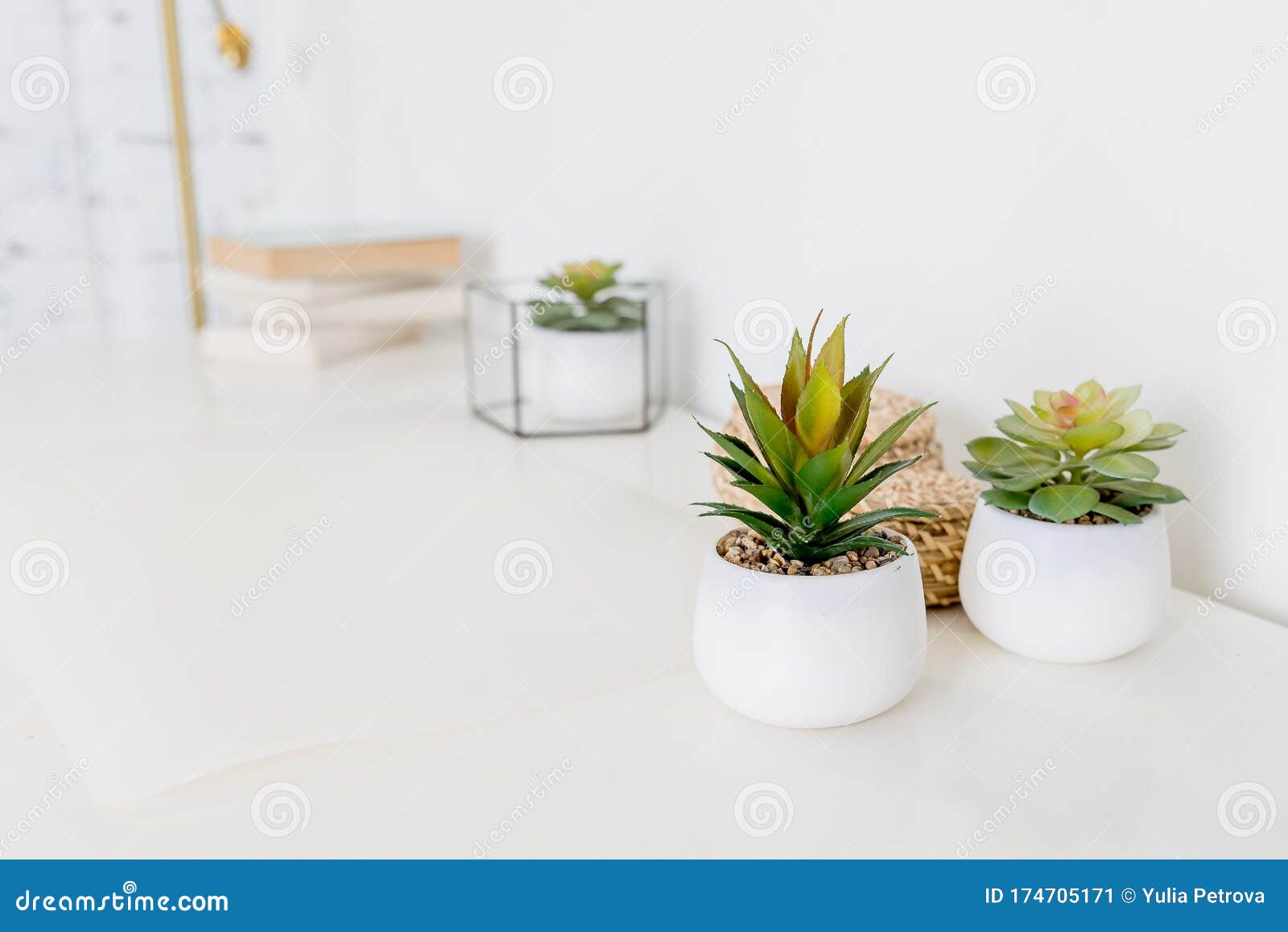 Office Or Home Office Desk With Decorative Plants And Cactus