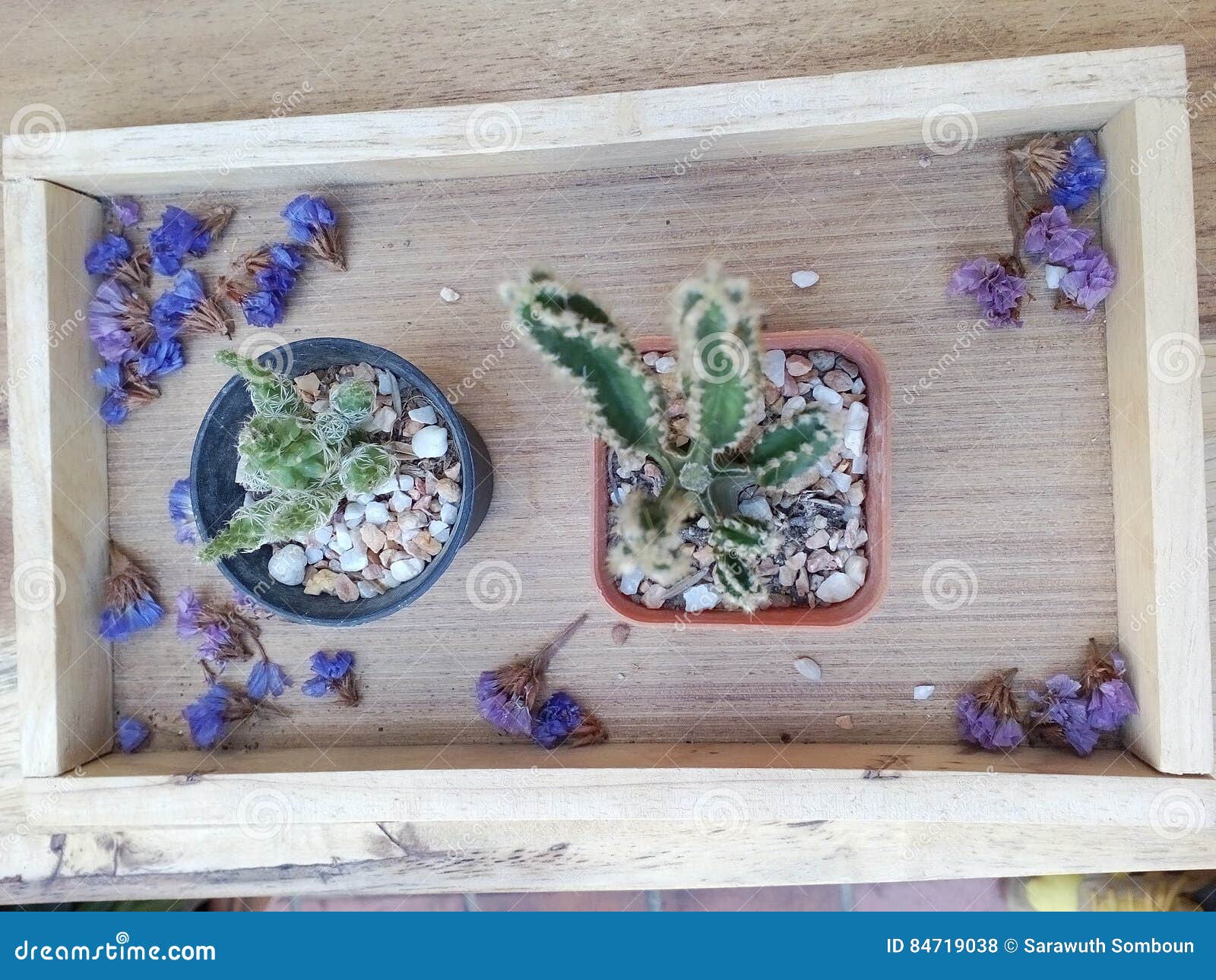 Office tree decor stock photo. Image of decor, flower 84719038