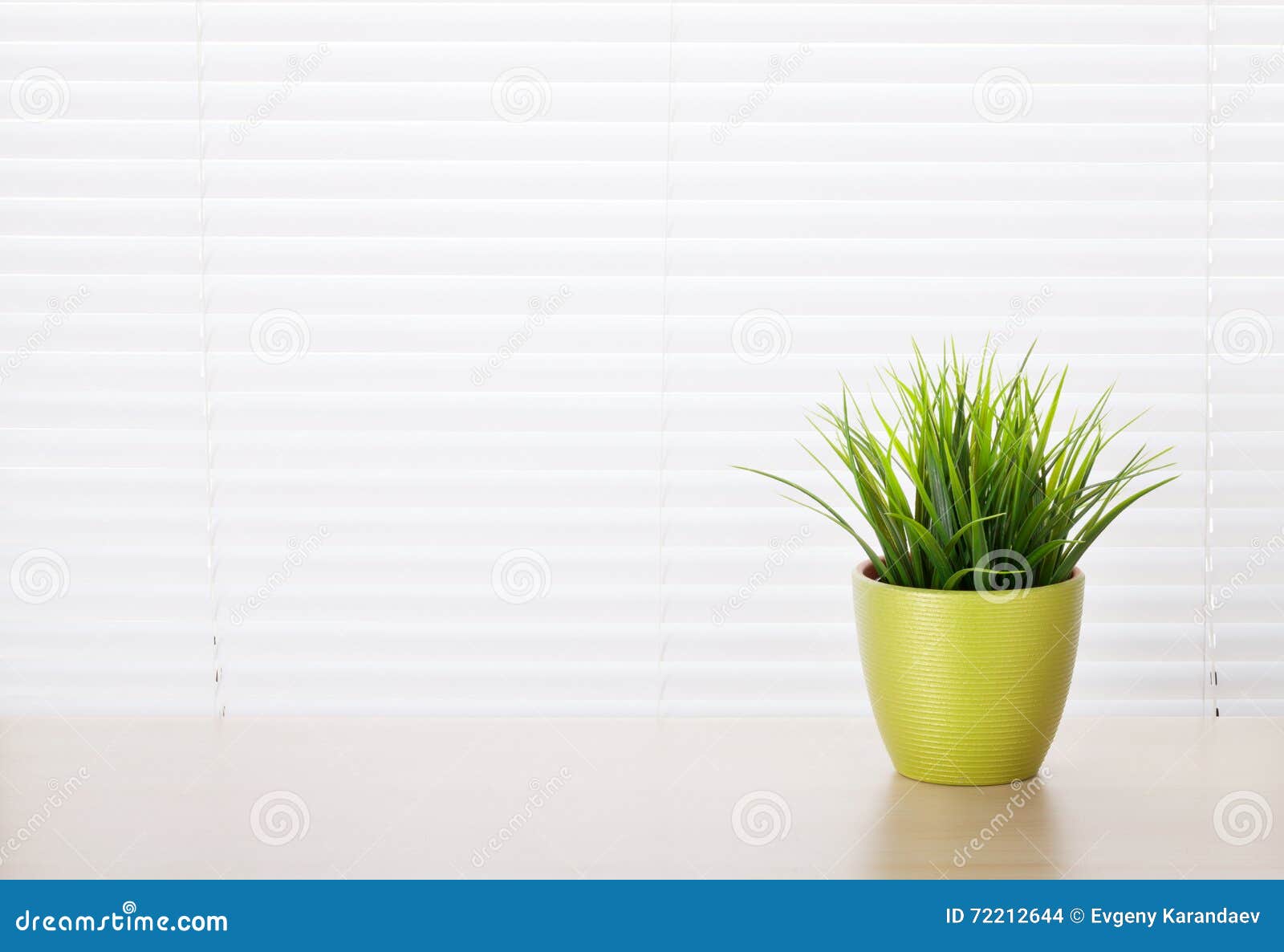Office Workplace with Potted Plant Stock Photo Image of background
