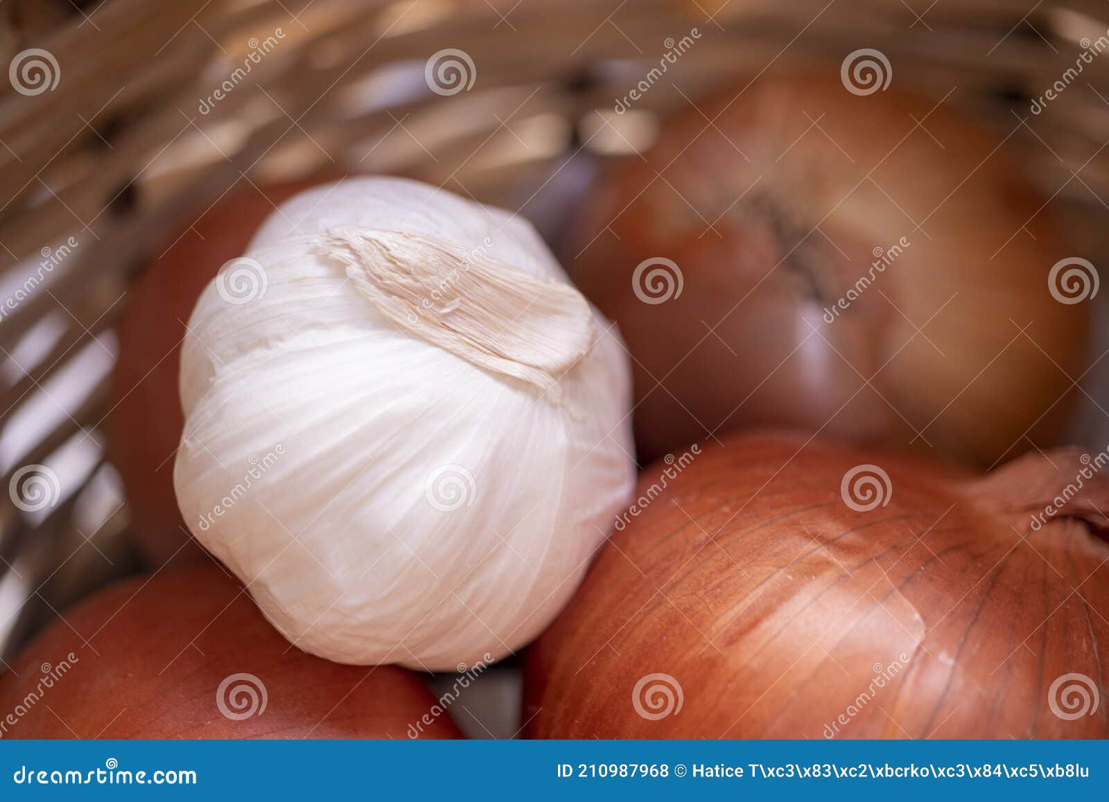 Funzhan Lot De 2 Oignons Artificiels Pour Décoration De Cuisine