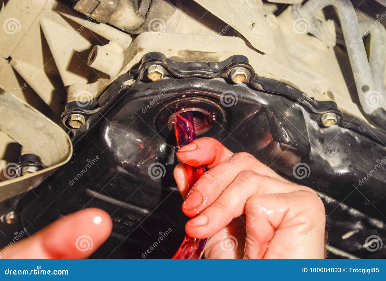 auto gear oil change