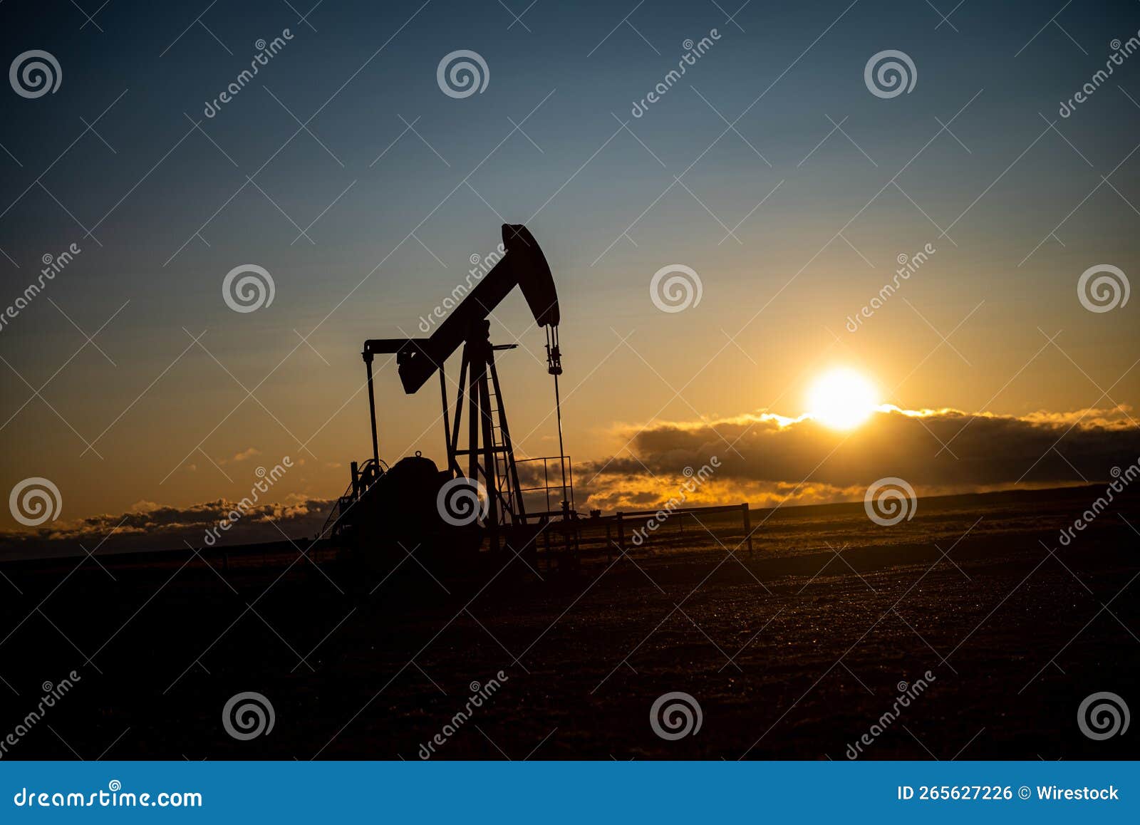 oil extraction machine