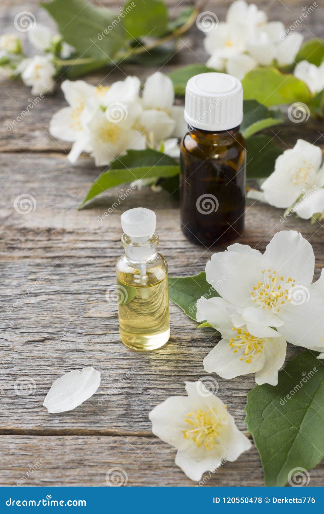 Oil of Jasmine. Aromatherapy with Jasmine Oil Stock Photo Image of