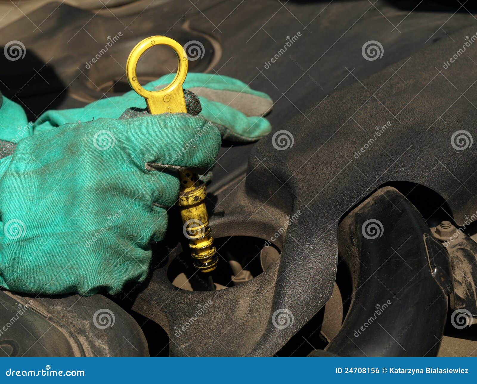 Oil level stock photo. Image of test, worker, inspecting - 24708156