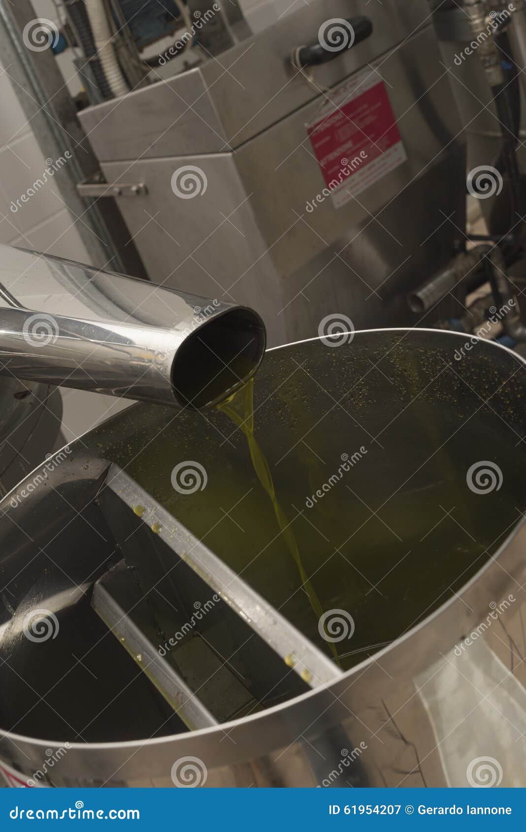 oil and olives cilento. campania. aquara (it). extra virgin olive. production stage.
