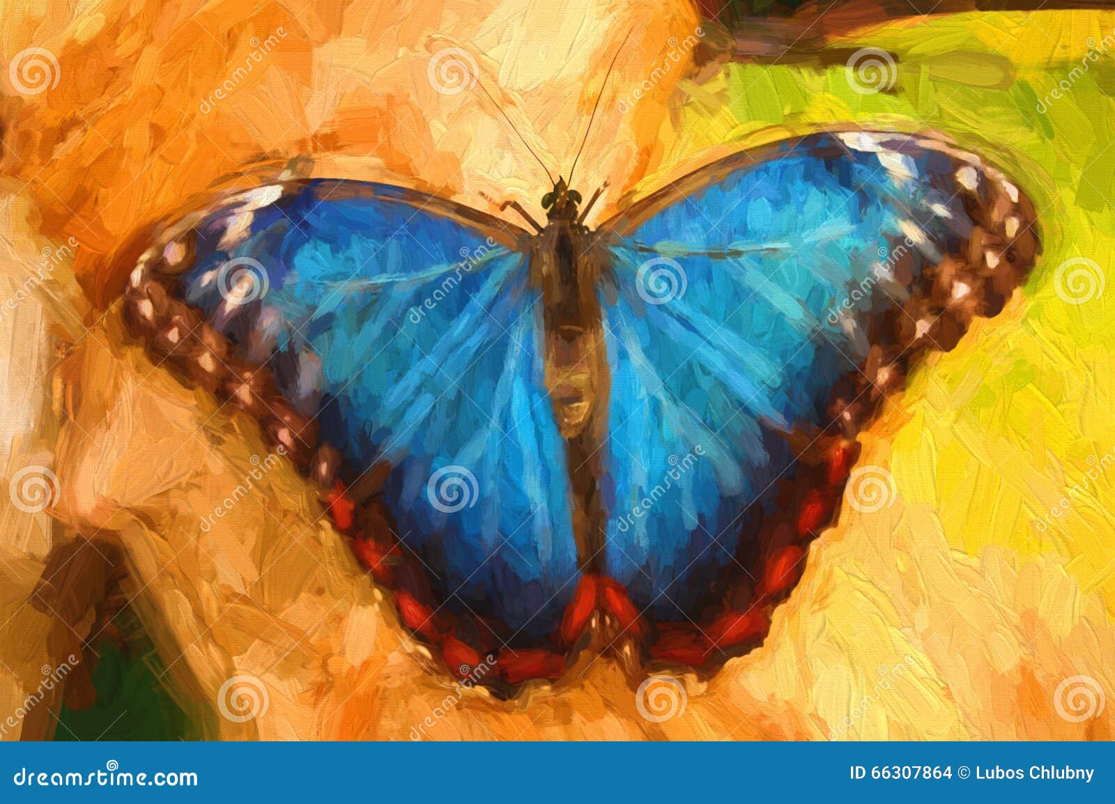 Oil Painting Blue Butterfly Stock Photo Image of paper, drawing 66307864