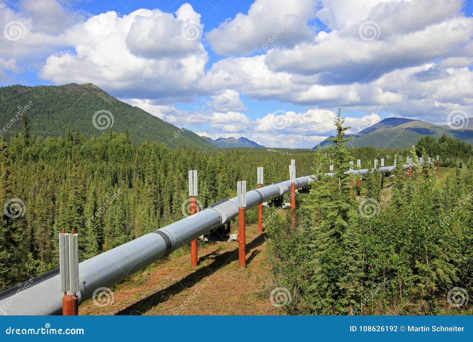oil pipeline along dalton highway, leading from valdez, fairbanks to prudhoe bay, alaska, usa