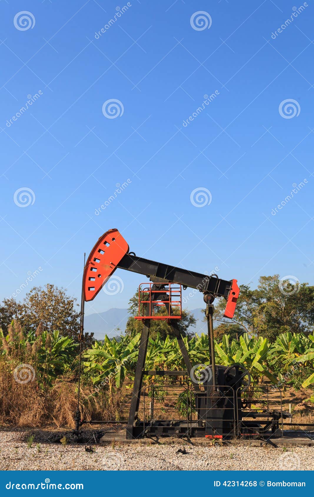 Oil Pump Jack (Sucker Rod Beam) in the Banana Field on Sunny Day Stock  Photo - Image of rural, donkey: 42314268