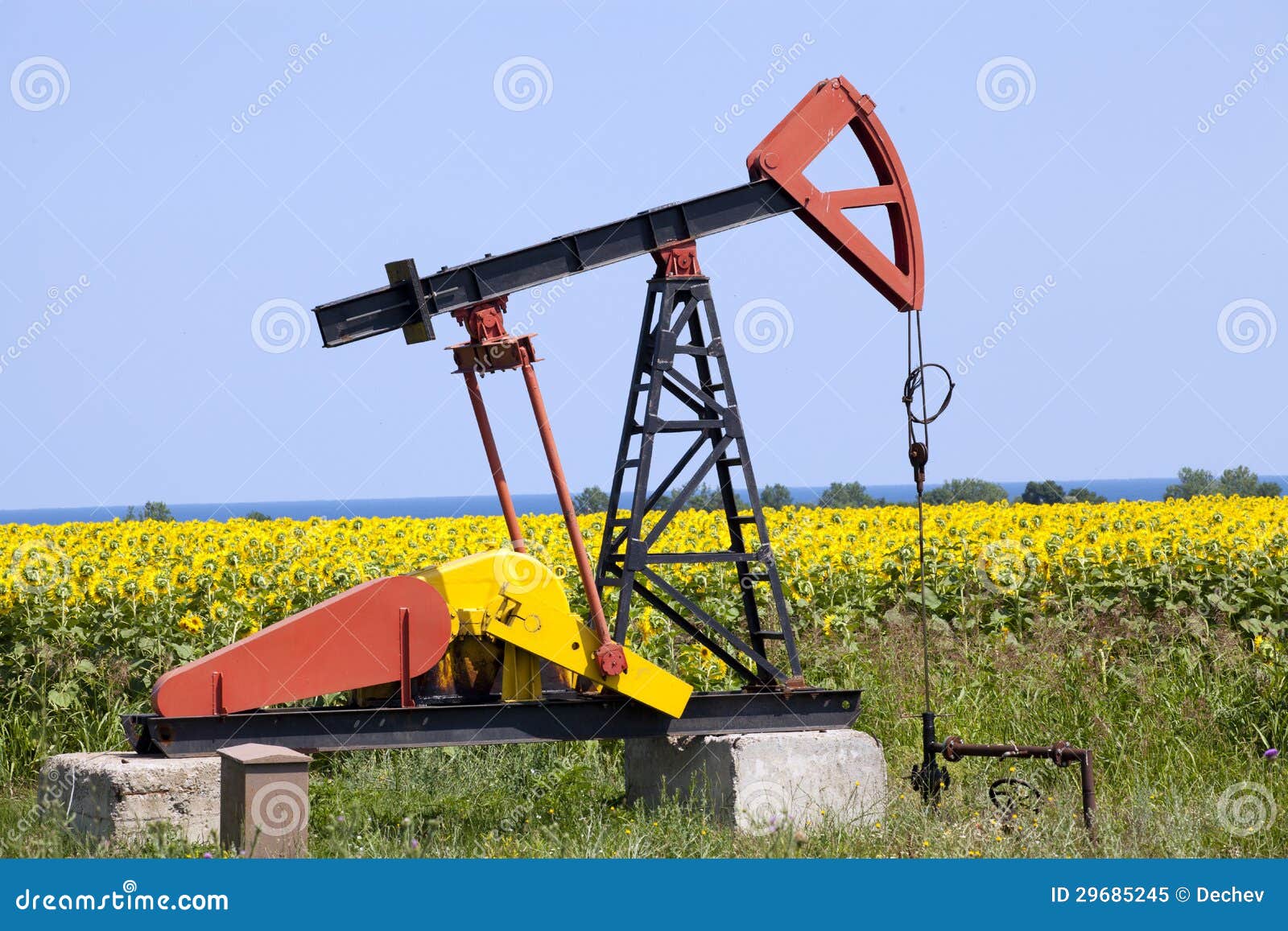 Oil Pump with Sunflowers Field Stock Image Image of fields