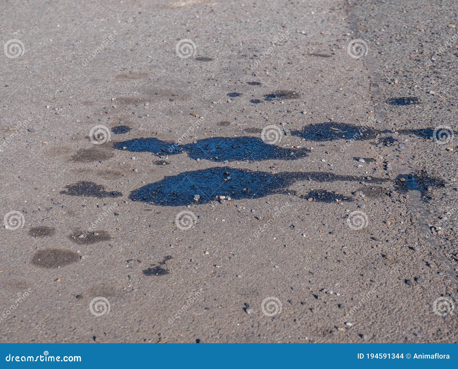 Oil spill on a car stock photo. Image of cars, pollution 194591344