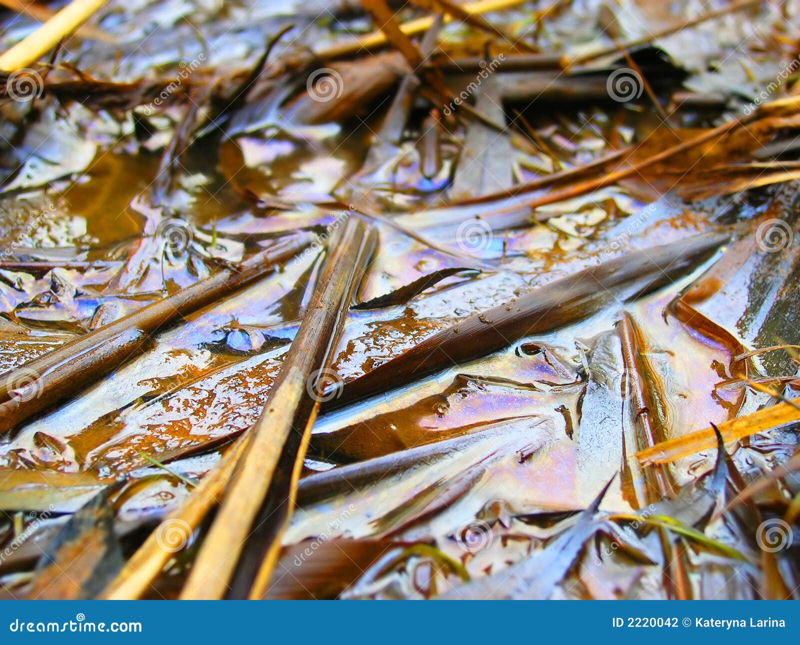 Oil spillage stock photo. Image of chemical, environment 2220042