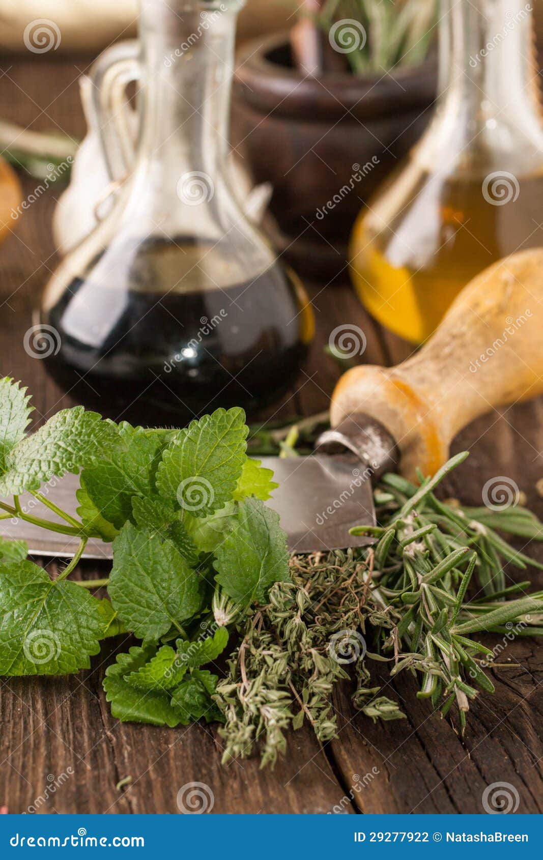 Oil and Vinegar, Gralic, Knife with Herb Stock Photo Image of food