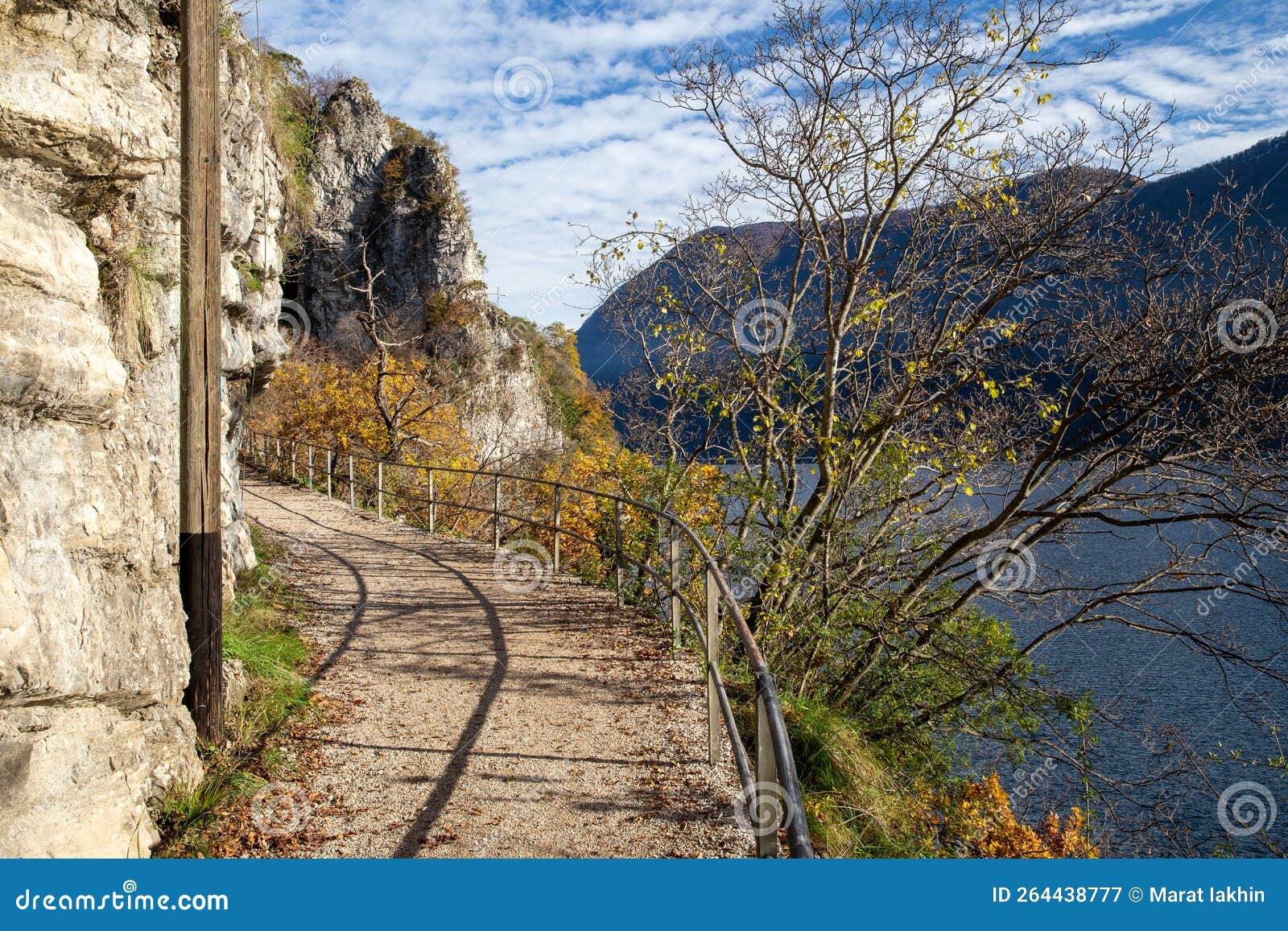 oilve trail in  lugano  suburbs - good  for  walking and physical training and sightseeing