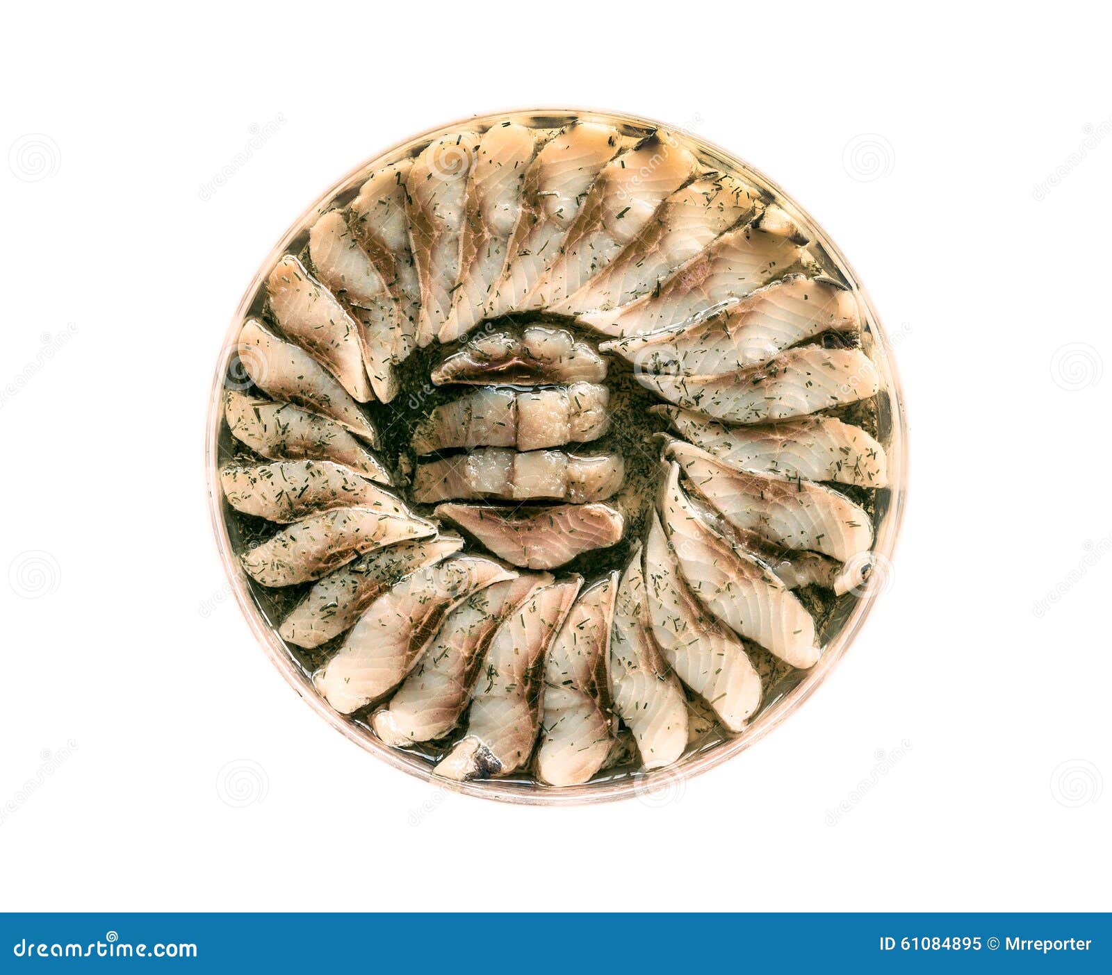 Oily herring stock image. Image of fillet, conserved 61084895