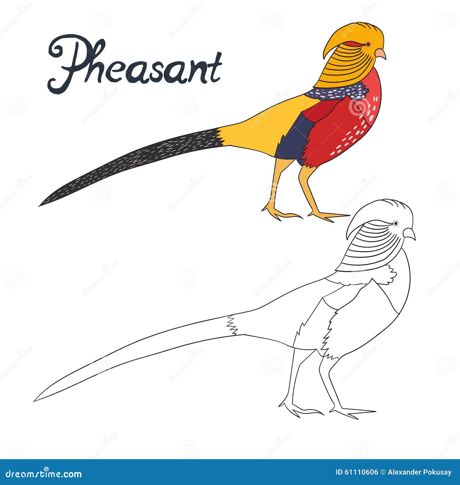 Oiseau éducatif De Faisan De Livre De Coloriage De Jeu Oiseau éducatif De Faisan De Livre De Coloriage De Jeu Illustration de Vecteur