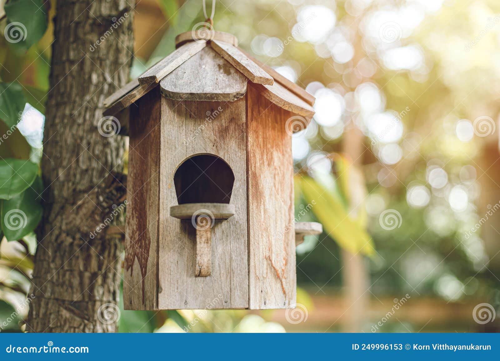 Oiseau. Boiserie Maison D'oiseau Boîte à L'arbre Dans Le Jardin Image stock  - Image du beau, extérieur: 249996153