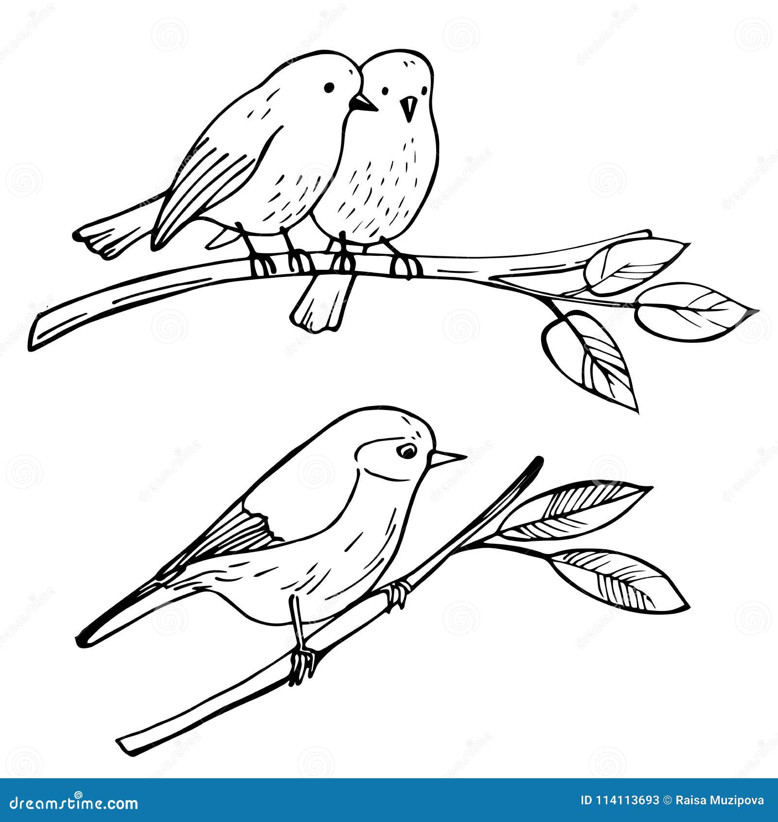 Dessin D'oiseau Sur Une Branche Facile Oiseaux Se Reposant Sur Une Branche Illustration De Croquis De Vecteur